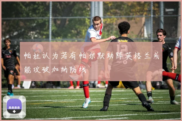 帕杜认为若有帕尔默助阵英格兰或能攻破加纳防线